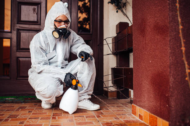 Attic and Crawl Space Rodent Treatment in Piney Mountain