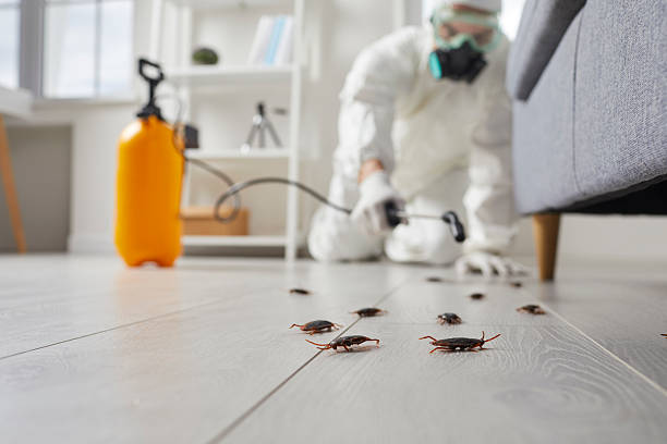 Commercial Rodent Management in Piney Mountain